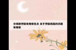 分线制传输有哪些优点 关于传输线路的问题有哪些