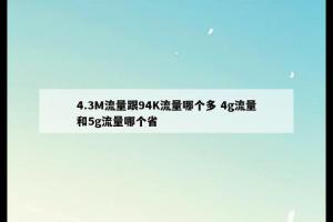 4.3M流量跟94K流量哪个多 4g流量和5g流量哪个省