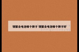 锂聚合电池哪个牌子 锂聚合电池哪个牌子好