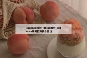 cadence如何打开cad文件 cadence如何打开两个窗口