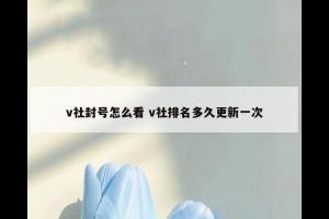 v社封号怎么看 v社排名多久更新一次
