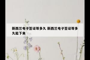 新西兰电子签证等多久 新西兰电子签证等多久能下来
