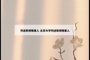何进教授哪里人 北京大学何进教授哪里人