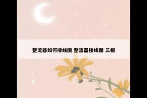 整流器如何接线图 整流器接线图 三相