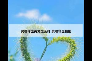 灵魂守卫英文怎么打 灵魂守卫技能