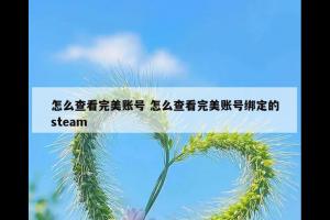怎么查看完美账号 怎么查看完美账号绑定的steam