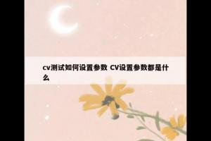 cv测试如何设置参数 CV设置参数都是什么