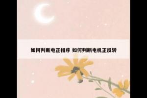 如何判断电正相序 如何判断电机正反转