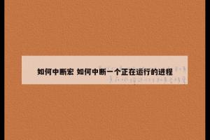 如何中断宏 如何中断一个正在运行的进程