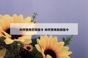 如何使用比较指令 如何使用撤回指令