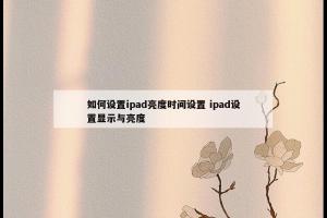 如何设置ipad亮度时间设置 ipad设置显示与亮度