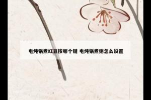 电炖锅煮红豆按哪个键 电炖锅煮粥怎么设置