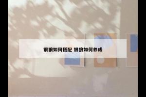 银狼如何搭配 银狼如何养成