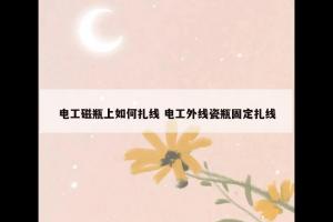 电工磁瓶上如何扎线 电工外线瓷瓶固定扎线