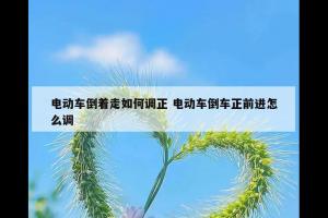 电动车倒着走如何调正 电动车倒车正前进怎么调