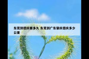 东莞到德庆要多久 东莞到广东肇庆德庆多少公里
