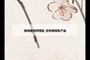 搜同款如何搭配 怎样搜同款产品