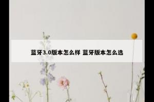 蓝牙3.0版本怎么样 蓝牙版本怎么选