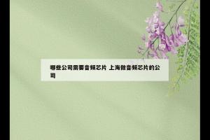 哪些公司需要音频芯片 上海做音频芯片的公司