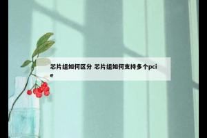 芯片组如何区分 芯片组如何支持多个pcie