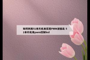 如何利用51单片机来实现PWM波输出 51单片机用pwm控制led