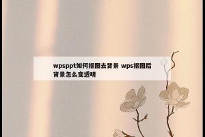 wpsppt如何抠图去背景 wps抠图后背景怎么变透明