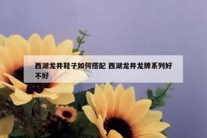 西湖龙井鞋子如何搭配 西湖龙井龙牌系列好不好