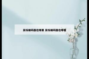 鼠标编码器在哪里 鼠标编码器在哪看