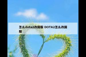 怎么dota2改国服 DOTA2怎么改国服