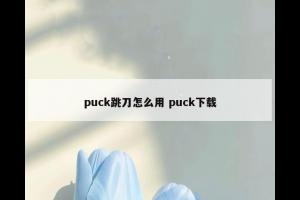 puck跳刀怎么用 puck下载