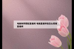 电脑如何搭配直播间 电脑直播伴侣怎么搭建直播间