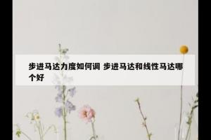 步进马达力度如何调 步进马达和线性马达哪个好