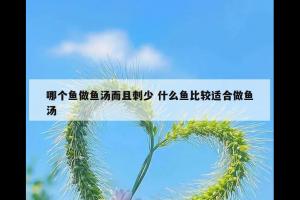 哪个鱼做鱼汤而且刺少 什么鱼比较适合做鱼汤