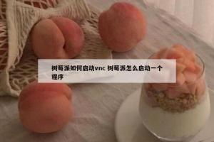 树莓派如何启动vnc 树莓派怎么启动一个程序