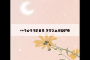 朴仔如何搭配五图 蛋仔怎么搭配好看
