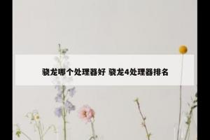 骁龙哪个处理器好 骁龙4处理器排名