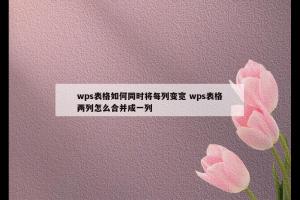 wps表格如何同时将每列变宽 wps表格两列怎么合并成一列