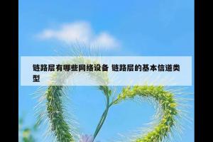 链路层有哪些网络设备 链路层的基本信道类型
