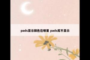 pads显示颜色在哪里 pads库不显示