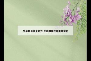 牛杂都是哪个地方 牛杂都是在哪里拿货的