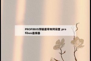 PROFIBUS传输速率如何设置 profibus连接器