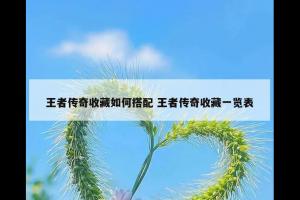 王者传奇收藏如何搭配 王者传奇收藏一览表