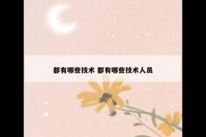 都有哪些技术 都有哪些技术人员