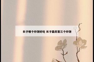 长子哪个炒饼好吃 长子最厉害三个炒饼