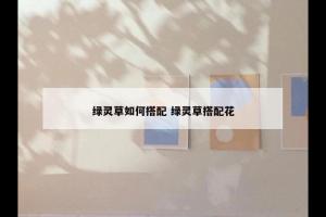 绿灵草如何搭配 绿灵草搭配花
