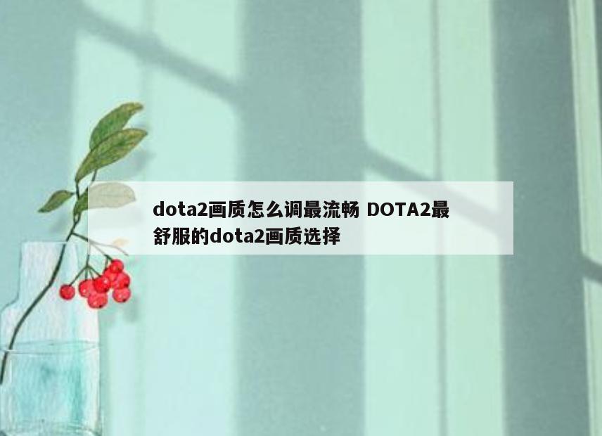 dota2画质怎么调最流畅 DOTA2最舒服的dota2画质选择