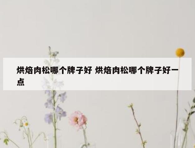 烘焙肉松哪个牌子好 烘焙肉松哪个牌子好一点