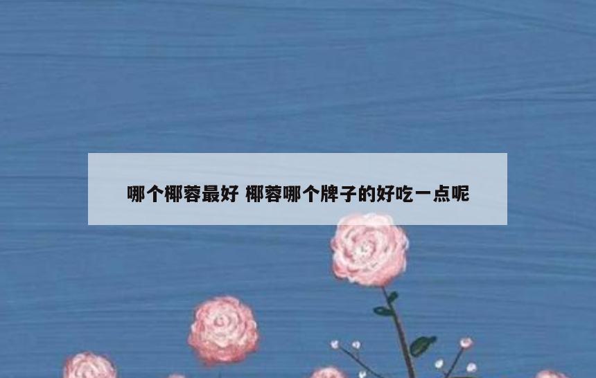 哪个椰蓉最好 椰蓉哪个牌子的好吃一点呢
