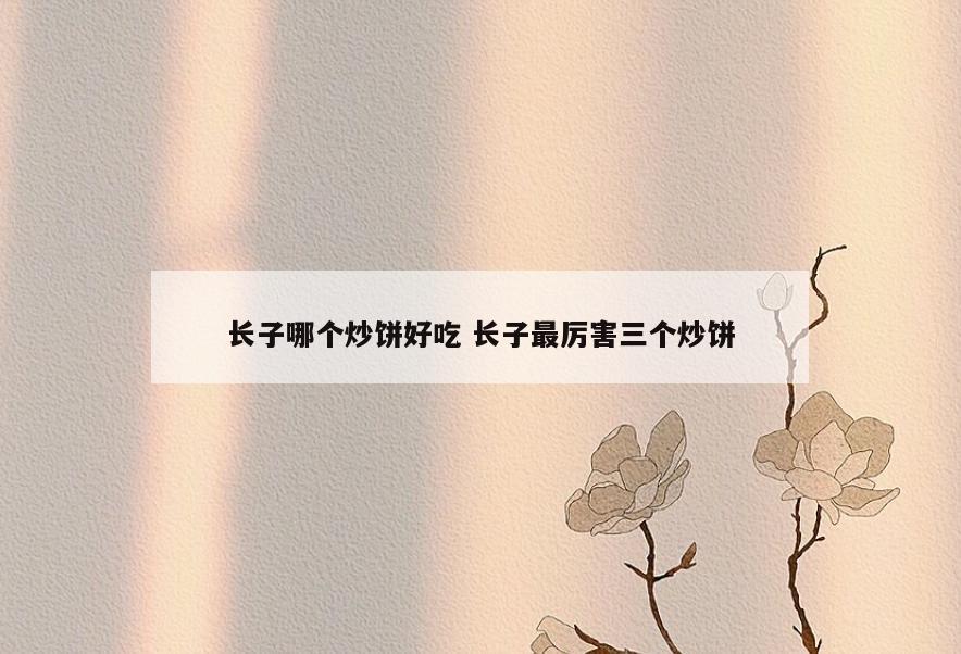 长子哪个炒饼好吃 长子最厉害三个炒饼