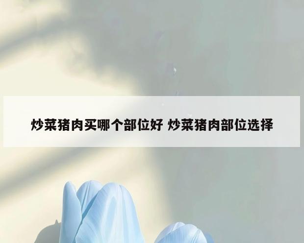 炒菜猪肉买哪个部位好 炒菜猪肉部位选择